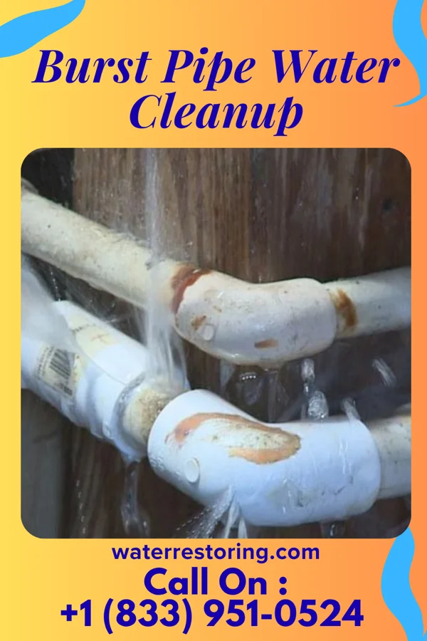 Burst Pipe Water Cleanup in Unionville, MI