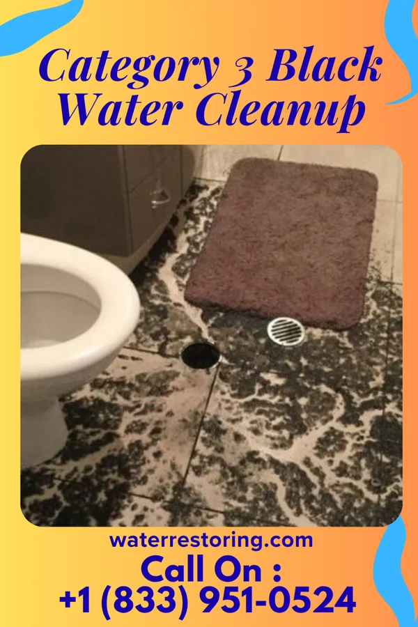 Category 3 Black Water Cleanup in Unionville, MI