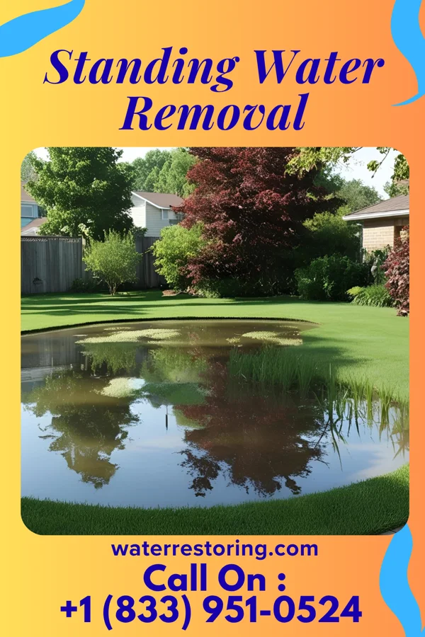 Standing Water Removal in Unionville, MI